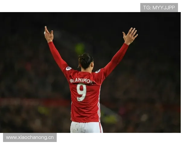 伊布退役后天天喝红酒配蛋白粉，这日子谁顶得住