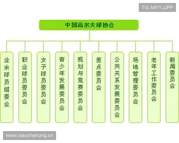 篮球边线发球规则如何界定五秒违例与球员站位的合法发球要求