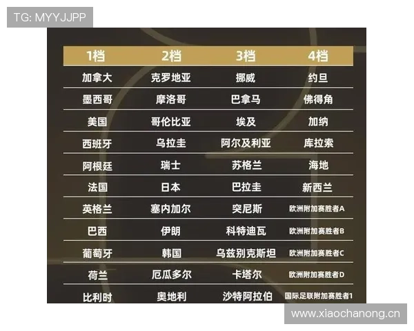 世界杯B组抽签结果公布,波黑签运如何 世界杯B组抽签结果公布,波黑签运如何